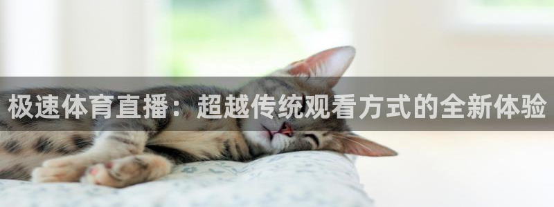 极速体育直播：超越传统观看方式的全新体验
