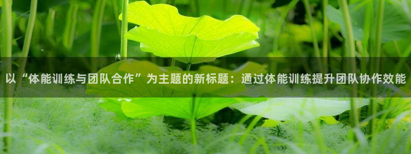以“体能训练与团队合作”为主题的新标题：通过体能训练提升团队协作效能