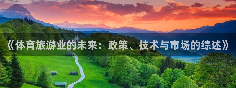 《体育旅游业的未来：政策、技术与市场的综述》