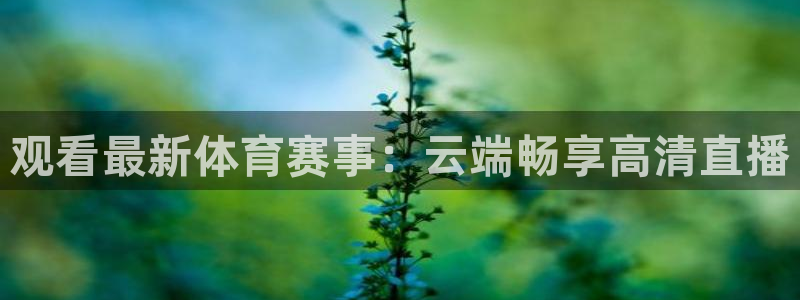 意昂3集团