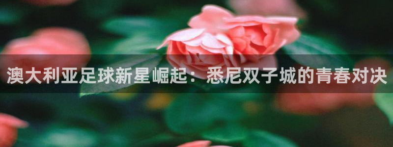 意昂3vk：澳大利亚足球新星崛起：悉尼双子城的青春对决