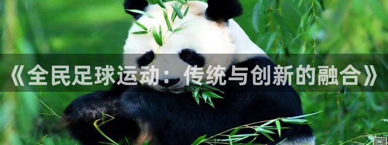 意昂3体育官网