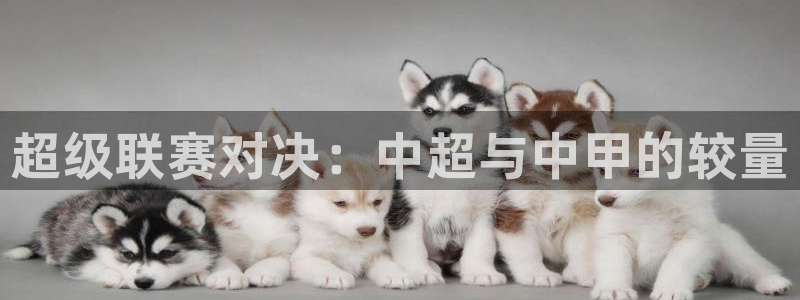 意昂3官网：超级联赛对决：中超与中甲的较量