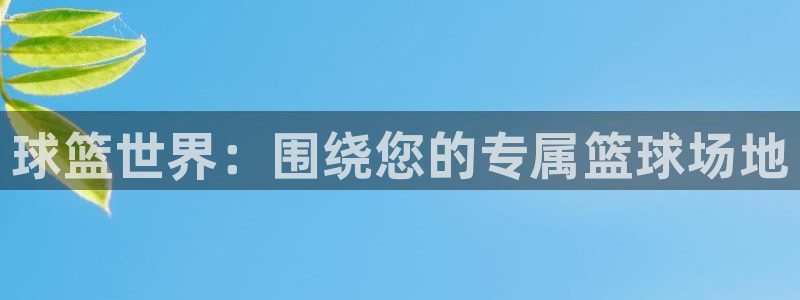 成都意昂3电子有限公司：球篮世界：围绕您的专属篮球场地